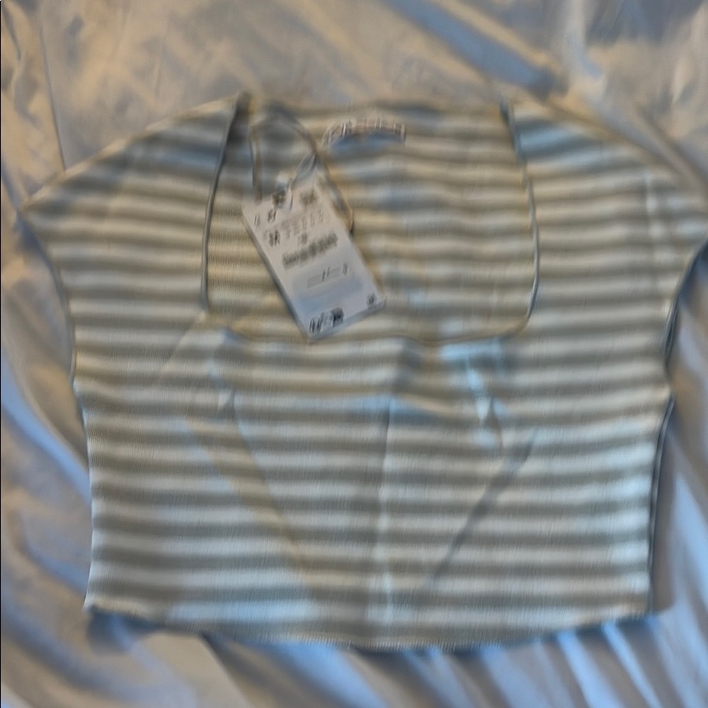Zara tan  and White Striped Crop Top